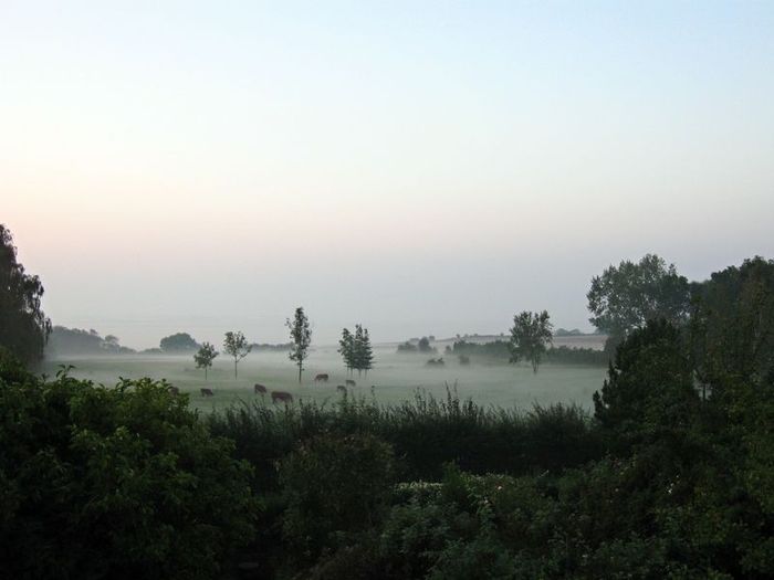 Udsigt fra tagterrasse en tidlig morgen, hvor tågen letter.